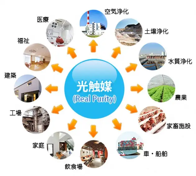数字货币的生态系统与参与者_数字货币生态建设_数字货币生态建设是什么意思