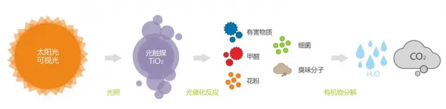 数字货币生态建设是什么意思_数字货币生态建设_数字货币的生态系统与参与者