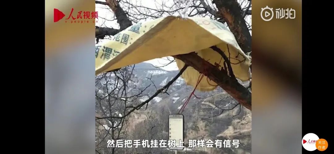 货币数量说_普及货币知识_数字货币在不同人群中的普及状况
