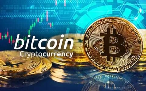 执行资产保护策略时，Trust Wallet官网下载的钱包所提供的优势！_盛钱包官网下载_银联钱包下载官网