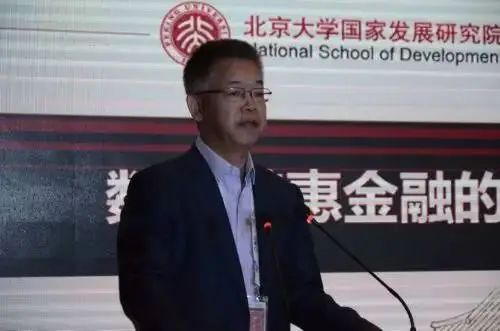 构建普惠金融数字化平台_数字资产在金融普惠中的作用：为不同社群提供平等的经济机会_社会资本数字普惠金融