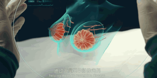 丁磊购物平台_丁磊的商业智慧与市场洞察_丁磊电商