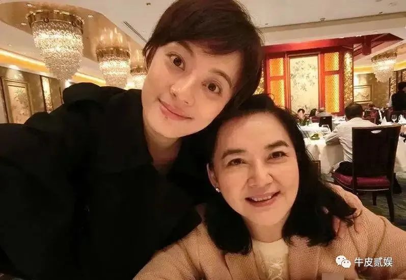 影视观众作品影响利智的因素_影视观众作品影响利智吗_利智的影视作品对观众的影响
