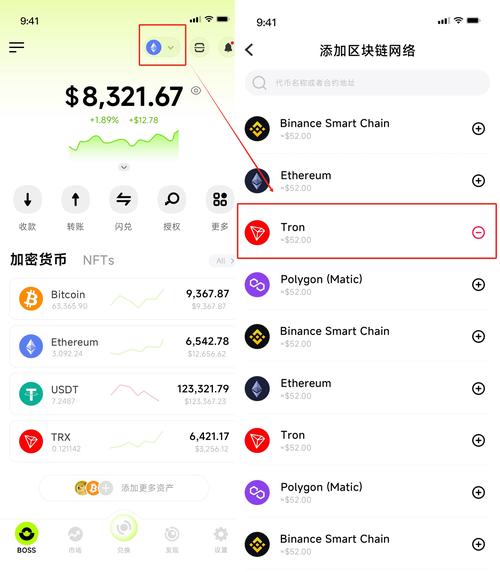 数字货币世界里，Trust Wallet官网助你便捷追踪交易记录与查询资产