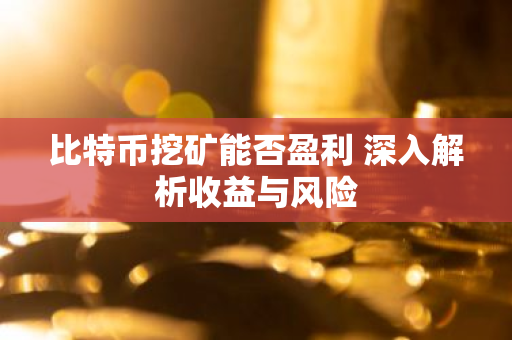 ltc挖矿收益计算_eve挖矿收益_探索虚拟货币挖矿的技术与经济：从设备选择到收益优化的全面分析