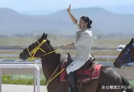 吴京的武侠电影_吴京在武侠电影中的重要性_吴京电影武打片