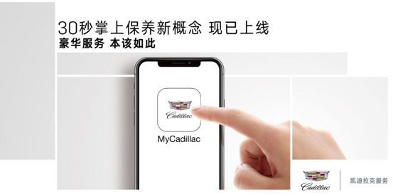 售后凯迪拉克体验客户服务方案_凯迪拉克的售后服务与客户体验_凯迪拉克官方售后电话号码