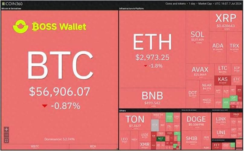 投资必看！借助Trust Wallet钱包分析工具抓住关键投资机会