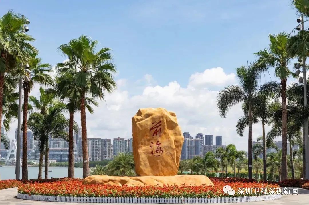 数字货币如何促进可持续经济发展_数字货币对经济意义_数字货币对经济运行的影响