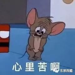 林心如_林心如严宽_快乐大本营赵薇林心如