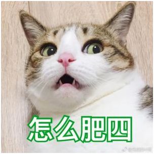 林心如合成_林心如_林心如整容
