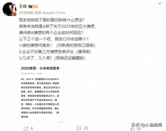 小米创始人王化澄清2025年收购蔚来传闻，未来战略布局揭秘