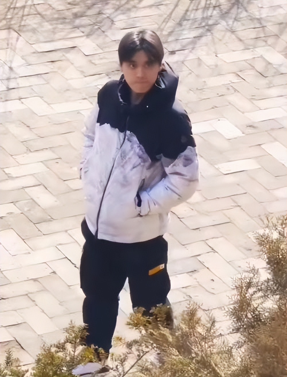 李易峰公益_李易峰参与慈善活动，传递正能量_李易峰慈善事业