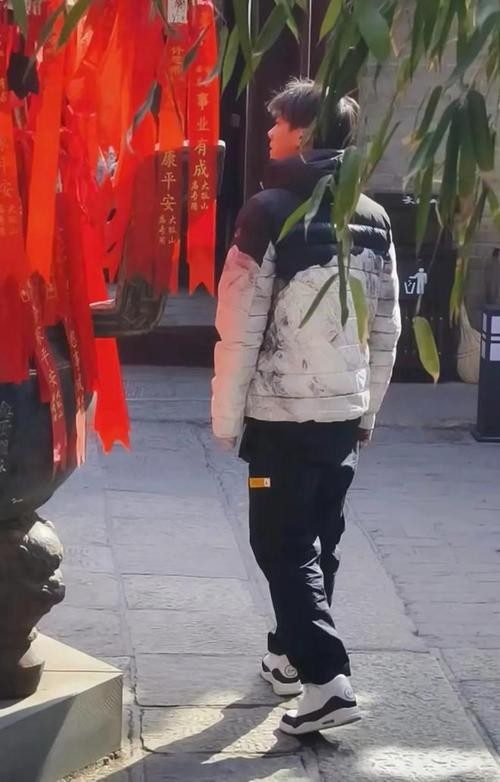 李易峰公益_李易峰参与慈善活动，传递正能量_李易峰慈善事业