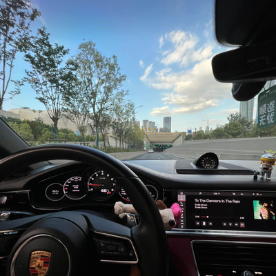 如何在狗狗币市场中实现盈利：投资策略与技巧_狗狗币如何盈利_狗狗币盈利模式