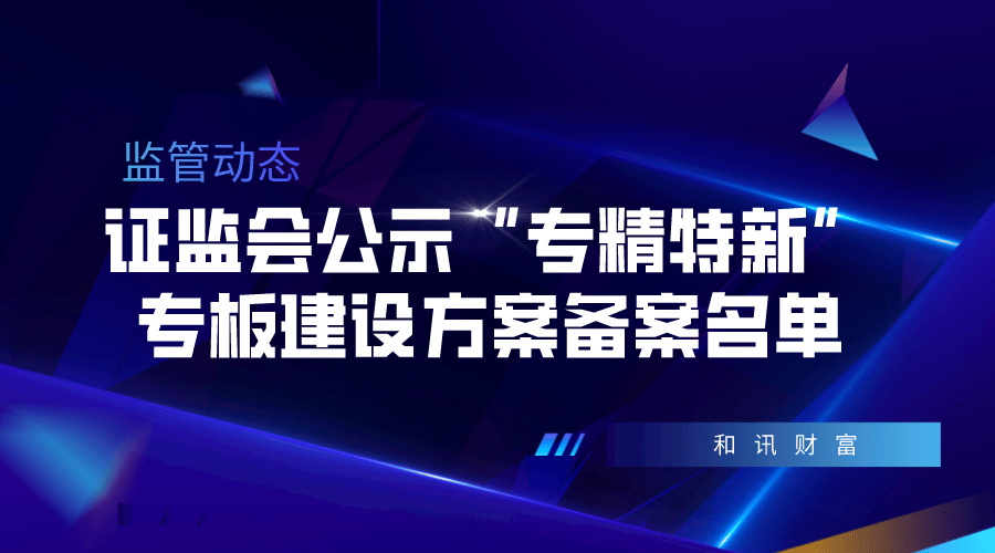未成熟股权的特征及其对投资决策的深远影响分析