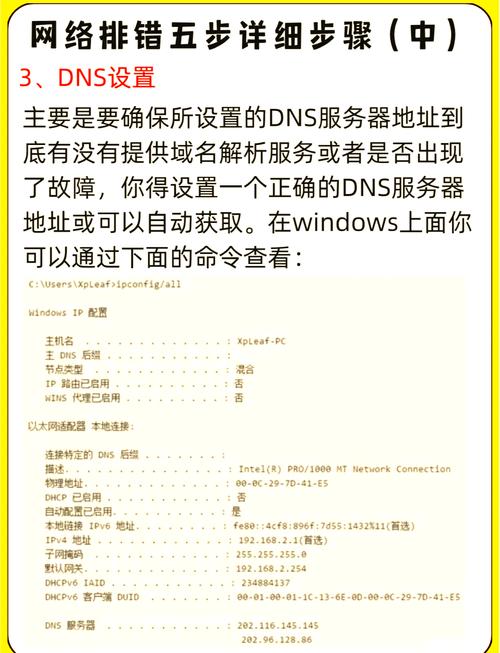 网络世界里，通过Trust官网获取正版下载链接的辨别方法
