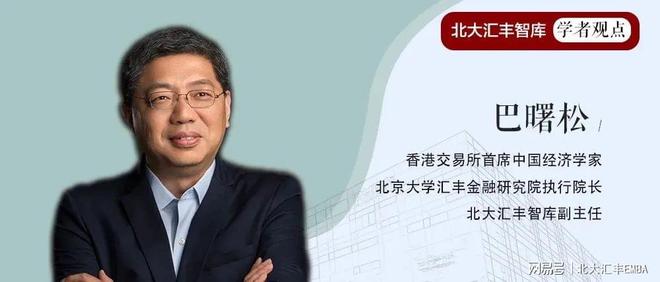 北大教授巴曙松解析人民币国际化新趋势与应对策略