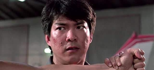 元彪武术指导_元彪武术指导哪些电影_元彪在武术界的地位与影响
