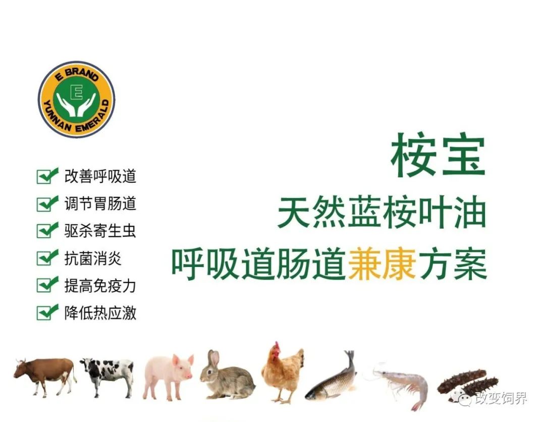 秦英林如何推动农业的科技创新_科技创新引领农业发展_科技创新推动农业现代化发展