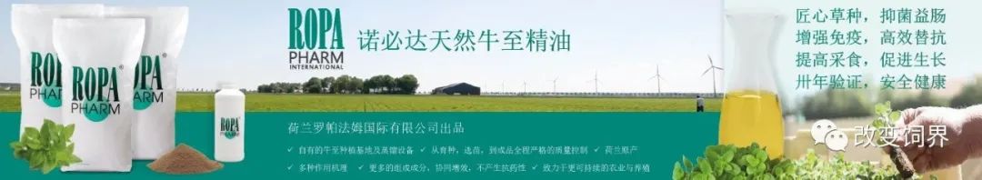 秦英林如何推动农业的科技创新_科技创新引领农业发展_科技创新推动农业现代化发展