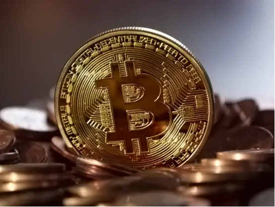 trustwallet安卓版下载|trustwallet钱包最新版-全球领先的数字货币钱包-本月早些时候特斯拉购买比特币及后续引发的一系列市场关联情况